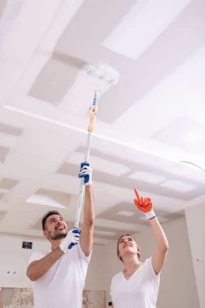 Trusted Pine Grove, CA Mold Removal Experts