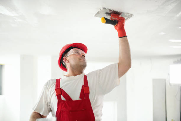 Best Basement Mold Removal  in Pine Grove, CA