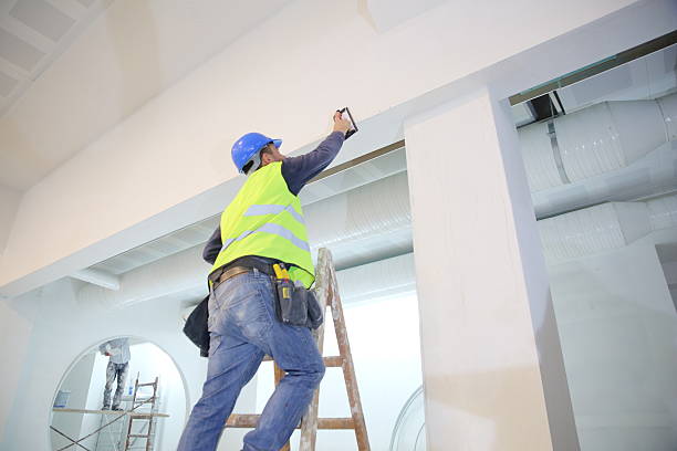 Best Mold Damage Restoration  in Pine Grove, CA